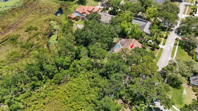 1903 Curry Rd, Lutz, FL 33549 - photo 23