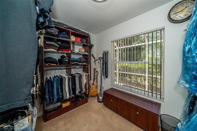 1903 Curry Rd, Lutz, FL 33549 - photo 47
