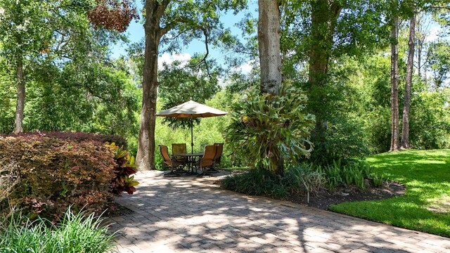 1903 Curry Rd, Lutz, FL 33549 - photo 61
