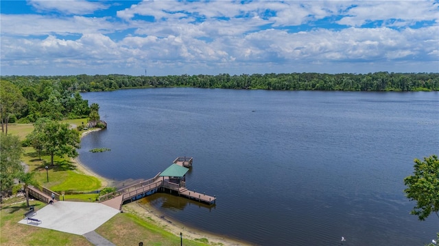 2712 Spring Meadow Dr, Plant City, FL 33566 - photo 50