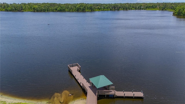 2712 Spring Meadow Dr, Plant City, FL 33566 - photo 52