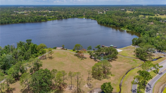 2712 Spring Meadow Dr, Plant City, FL 33566 - photo 53