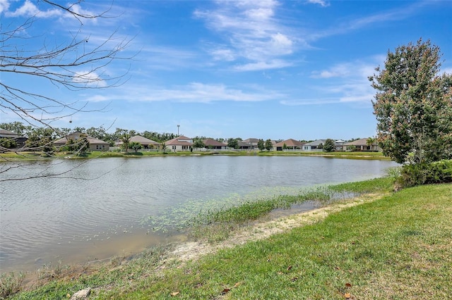 10415 Cardera Dr, Riverview, FL 33578 - photo 29