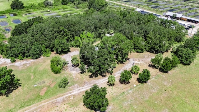 12434 Cody Dr, Wimauma, FL 33598 - photo 58