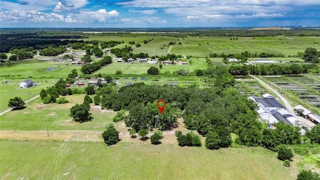 12434 Cody Dr, Wimauma, FL 33598 - photo 62