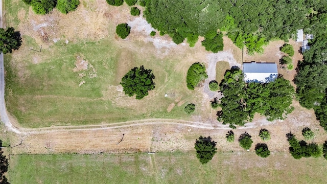 12434 Cody Dr, Wimauma, FL 33598 - photo 64