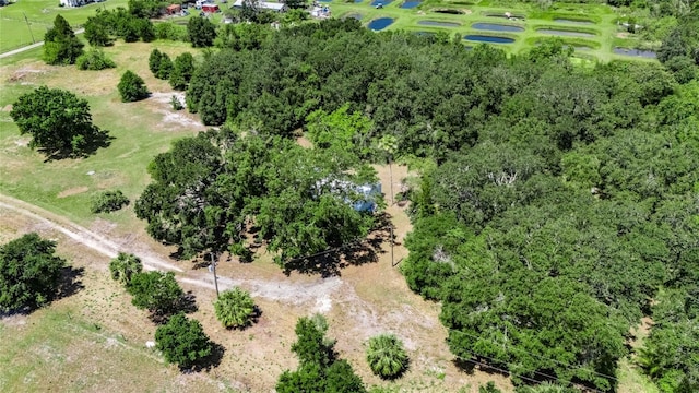 12434 Cody Dr, Wimauma, FL 33598 - photo 56