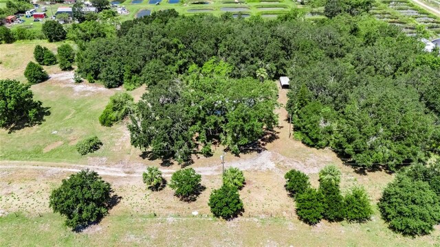 12434 Cody Dr, Wimauma, FL 33598 - photo 57