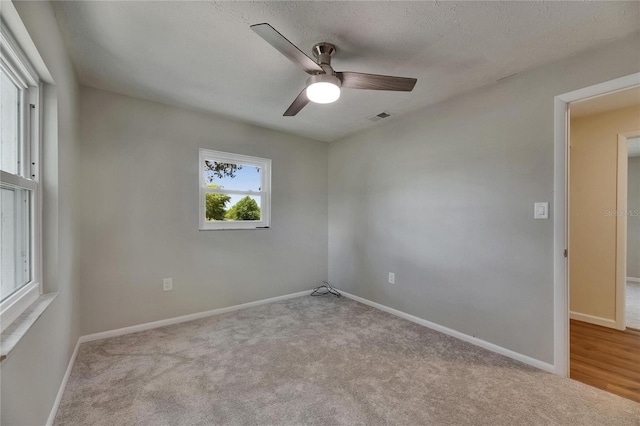 12434 Cody Dr, Wimauma, FL 33598 - photo 31