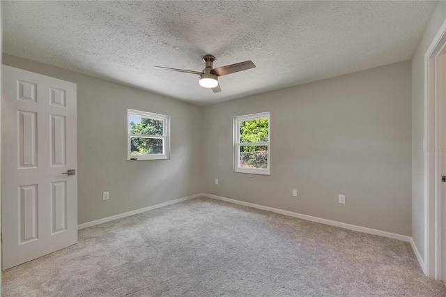 12434 Cody Dr, Wimauma, FL 33598 - photo 33