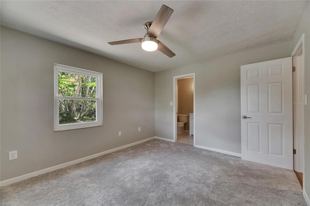 12434 Cody Dr, Wimauma, FL 33598 - photo 36