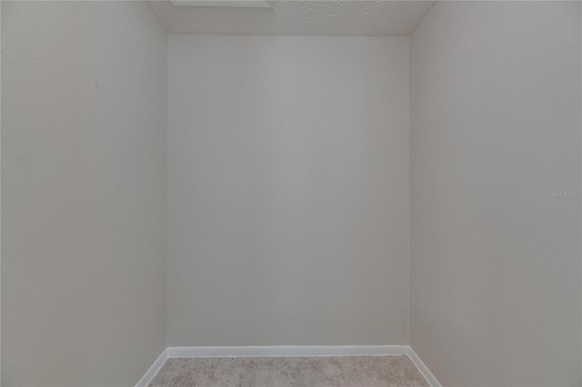 12434 Cody Dr, Wimauma, FL 33598 - photo 38