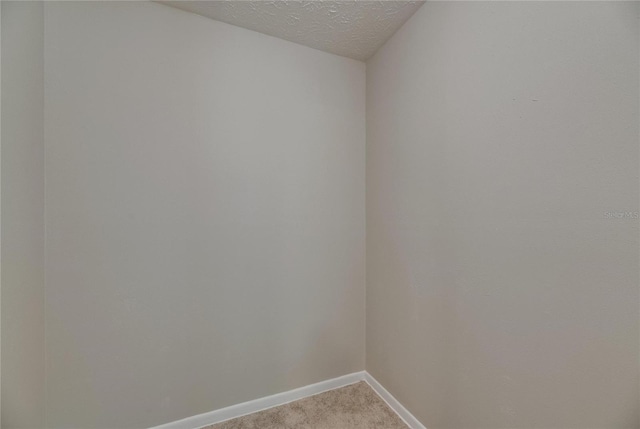 12434 Cody Dr, Wimauma, FL 33598 - photo 39