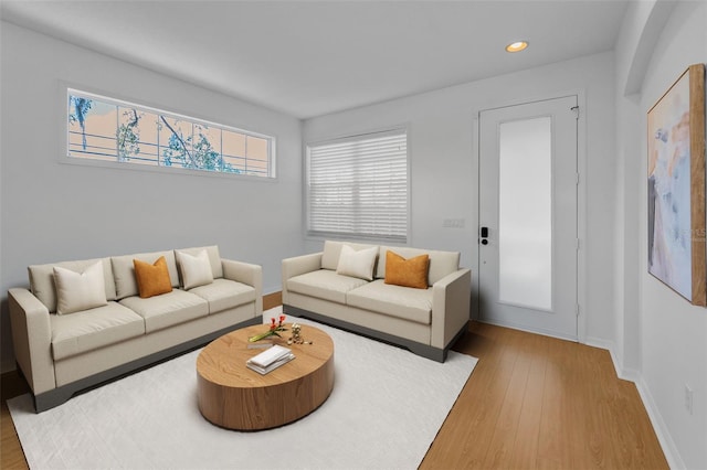 3002 Savannah Oaks Cir, Tarpon Springs, FL 34688 - living room featuring wood finished floors, recessed lighting, and baseboards