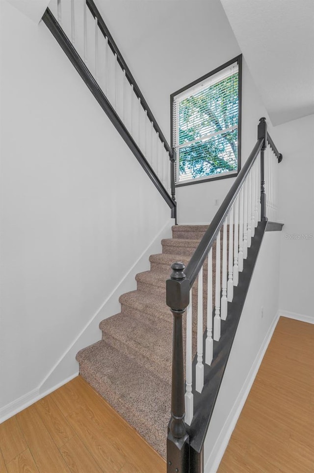3002 Savannah Oaks Cir, Tarpon Springs, FL 34688 - stairs featuring wood finished floors and baseboards