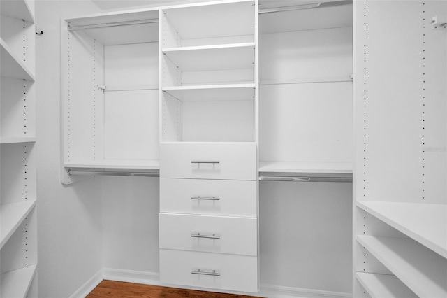 3002 Savannah Oaks Cir, Tarpon Springs, FL 34688 - walk in closet featuring wood finished floors