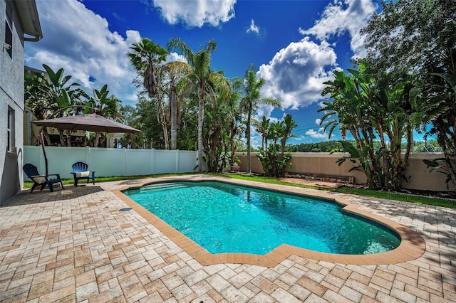3002 Savannah Oaks Cir, Tarpon Springs, FL 34688 - view of swimming pool with a patio area and a fenced backyard