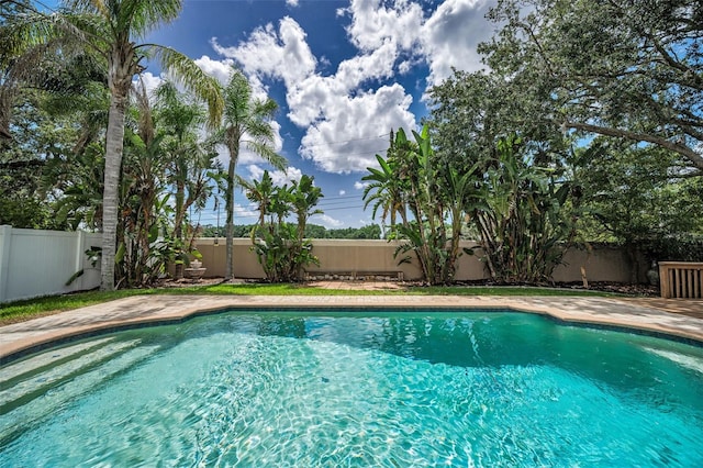 3002 Savannah Oaks Cir, Tarpon Springs, FL 34688 - view of pool featuring a fenced backyard