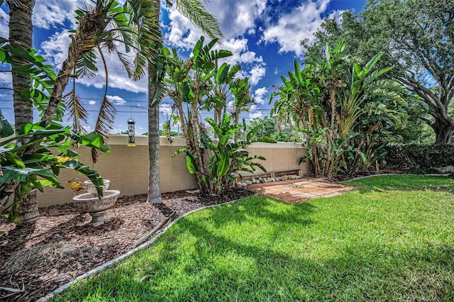 3002 Savannah Oaks Cir, Tarpon Springs, FL 34688 - view of yard
