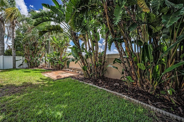 3002 Savannah Oaks Cir, Tarpon Springs, FL 34688 - view of yard