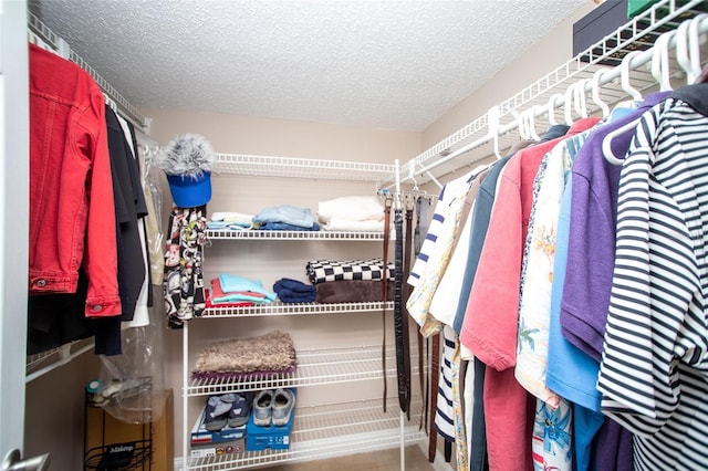 12300 Park Blvd Unit 222, Seminole, FL 33772 - view of walk in closet