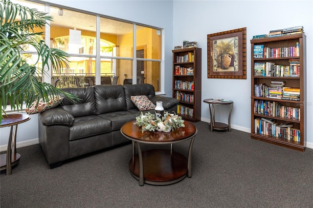 10764 70th Ave Unit 5302, Seminole, FL 33772 - carpeted living area with baseboards