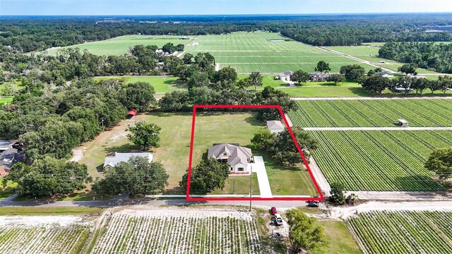 5319 W Trapnell Rd, Dover, FL 33527 - photo 42