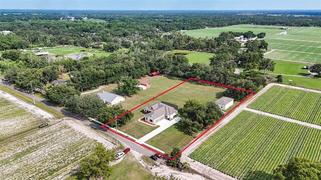 5319 W Trapnell Rd, Dover, FL 33527 - photo 43