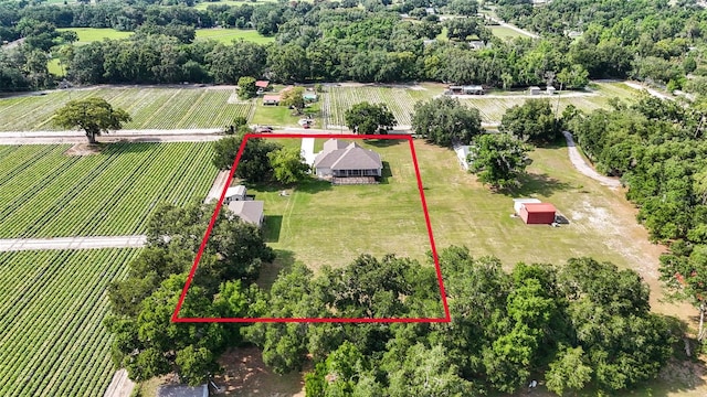 5319 W Trapnell Rd, Dover, FL 33527 - photo 44