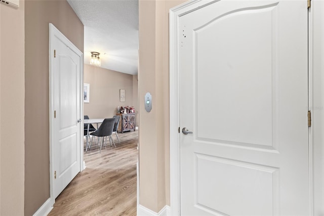 6319 Sunset Bay Cir, Apollo Beach, FL 33572 - corridor with light wood-style floors and baseboards