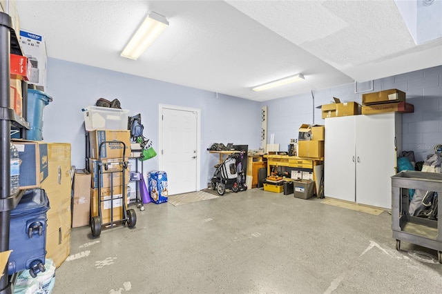 6319 Sunset Bay Cir, Apollo Beach, FL 33572 - garage featuring concrete block wall