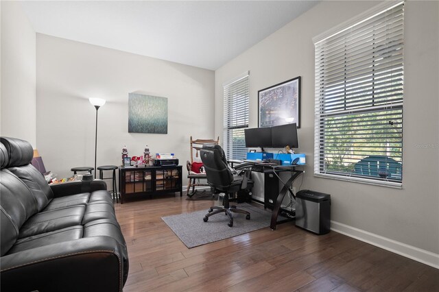 4264 Bexley Village Dr, Land O Lakes, FL 34638 - office area featuring wood finished floors and baseboards