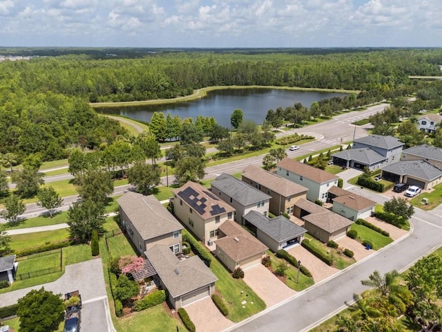4264 Bexley Village Dr, Land O Lakes, FL 34638 - aerial view of residential area featuring a heavily wooded area and a nearby body of water