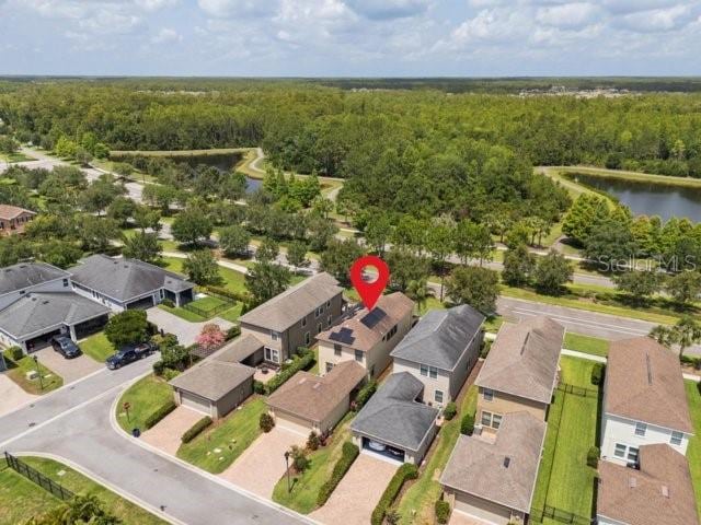 4264 Bexley Village Dr, Land O Lakes, FL 34638 - aerial view of residential area with a forest and a large body of water