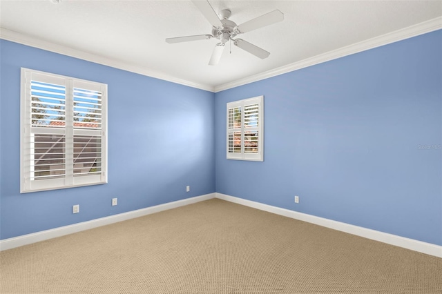 1171 Red Maple Cir NE, Saint Petersburg, FL 33703 - unfurnished room featuring ornamental molding, carpet, baseboards, and ceiling fan