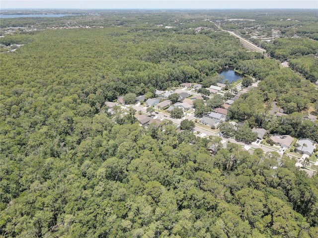 3338 Laurelwood Ct, Tarpon Springs, FL 34688 - view of property location with a heavily wooded area and a nearby body of water