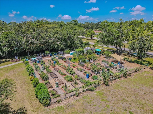 drone / aerial view of a tree filled landscape