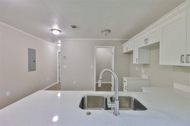 2112 33rd St SE, Ruskin, FL 33570 - kitchen with a sink, ornamental molding, electric panel, white cabinetry, and light stone counters