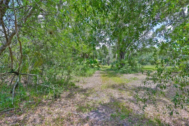 2112 33rd St SE, Ruskin, FL 33570 - view of local wilderness