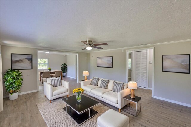 2112 33rd St SE, Ruskin, FL 33570 - living area with wood finished floors, ornamental molding, baseboards, ceiling fan, and a textured ceiling