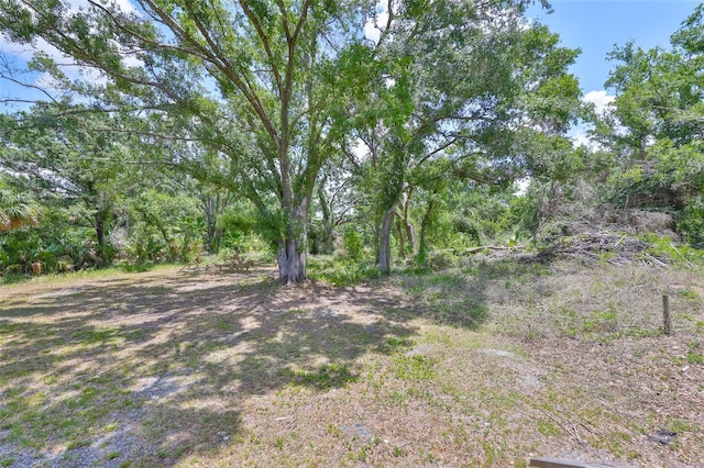 2112 33rd St SE, Ruskin, FL 33570 - view of yard