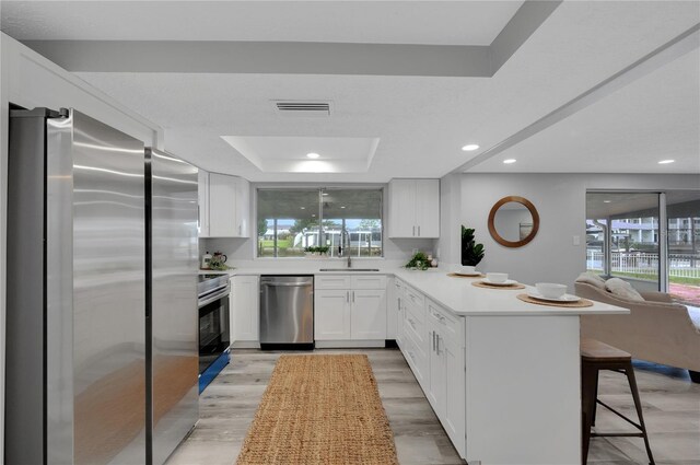6914 Harbor Dr, Hudson, FL 34667 - kitchen with stainless steel appliances, a peninsula, a sink, a tray ceiling, and healthy amount of natural light