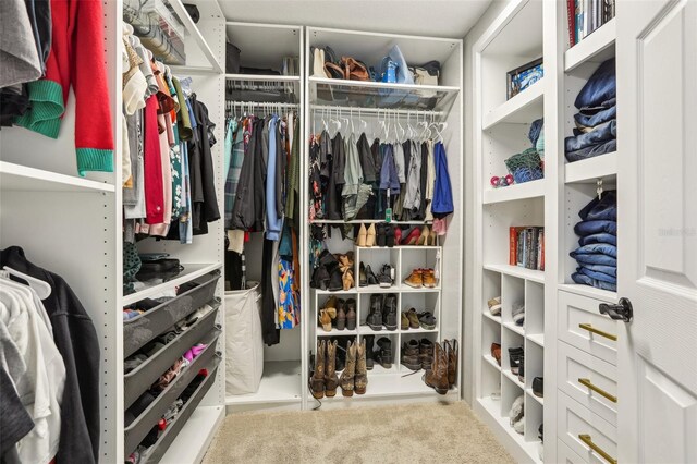view of walk in closet