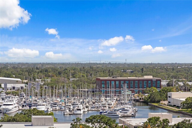 199 Dali Blvd Unit 2, Saint Petersburg, FL 33701 - bird's eye view of numerous boat docks and a large body of water
