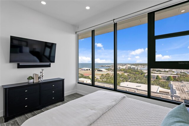 199 Dali Blvd Unit 2, Saint Petersburg, FL 33701 - bedroom featuring baseboards, dark wood-type flooring, and recessed lighting