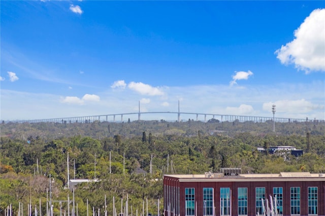 199 Dali Blvd Unit 2, Saint Petersburg, FL 33701 - city view with a forest