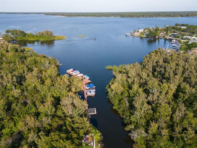 2533 Dolly Bay Dr Unit 203, Palm Harbor, FL 34684 - aerial view of property's location with a nearby body of water