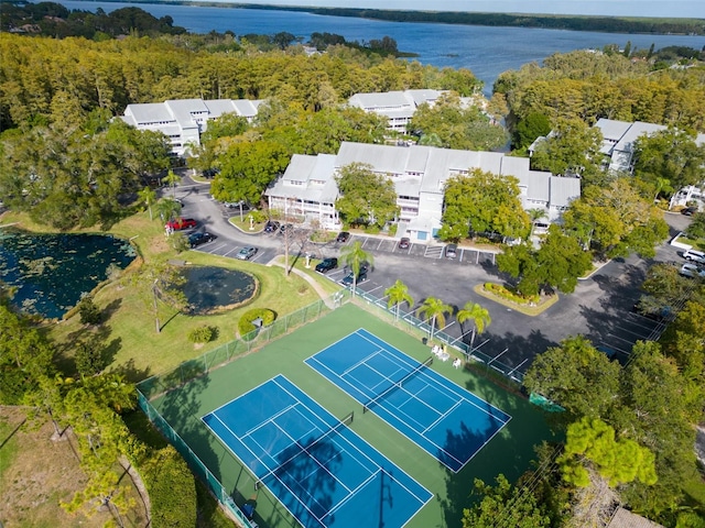 2533 Dolly Bay Dr Unit 203, Palm Harbor, FL 34684 - aerial view of a large body of water