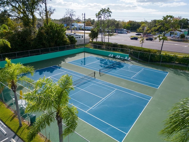 2533 Dolly Bay Dr Unit 203, Palm Harbor, FL 34684 - photo 36