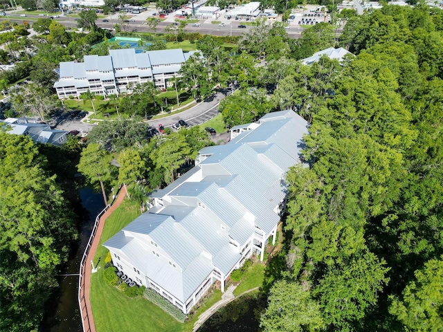 2533 Dolly Bay Dr Unit 203, Palm Harbor, FL 34684 - photo 5